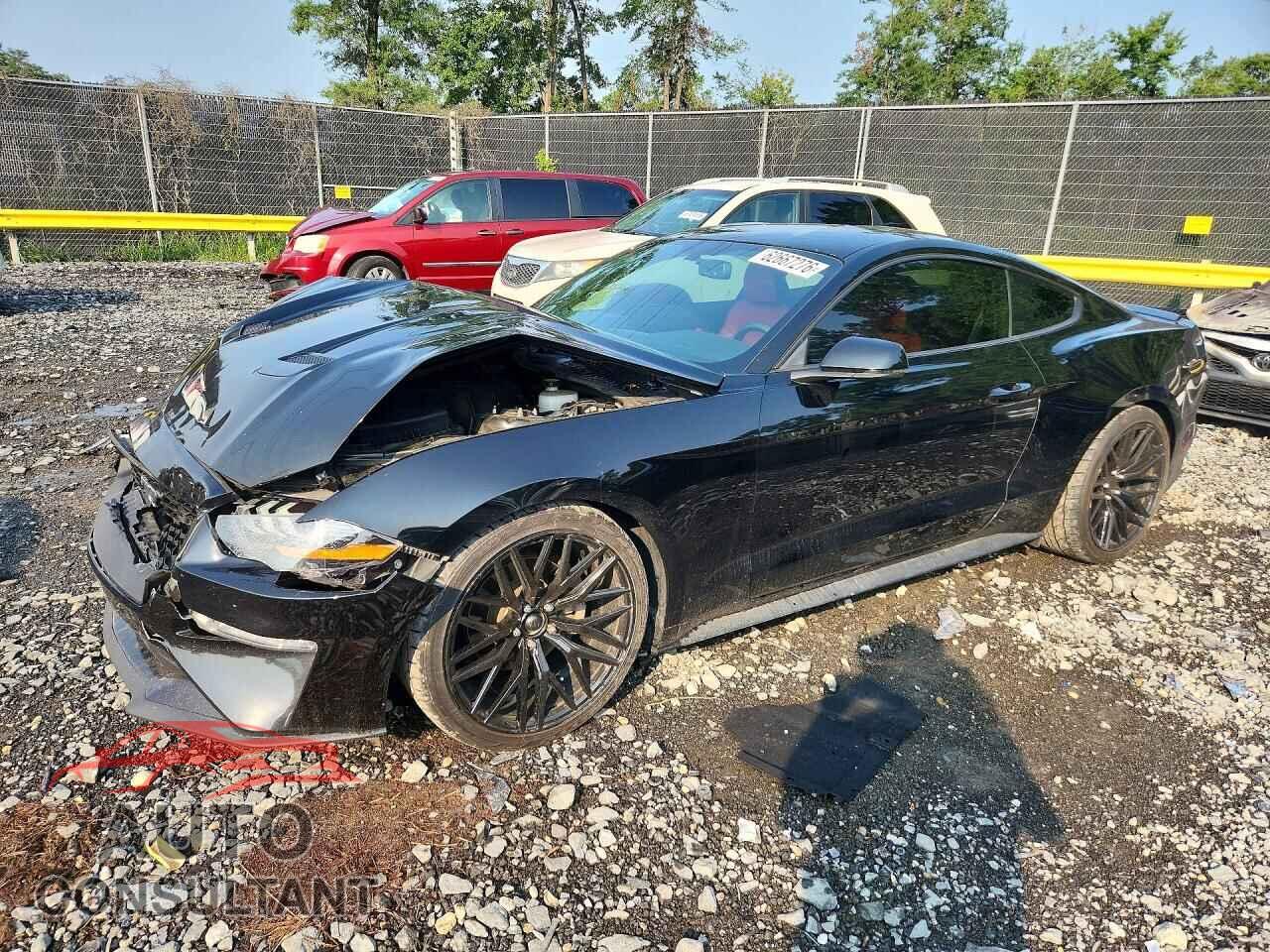 FORD MUSTANG 2019 - 1FA6P8TH2K5138043