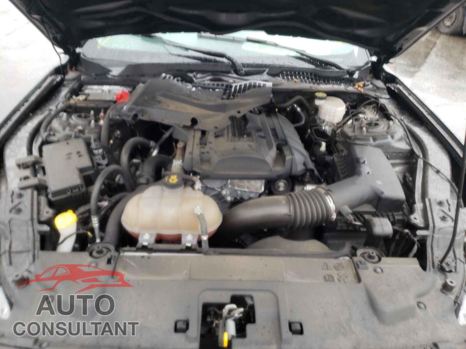 FORD MUSTANG 2019 - 1FA6P8THXK5193047