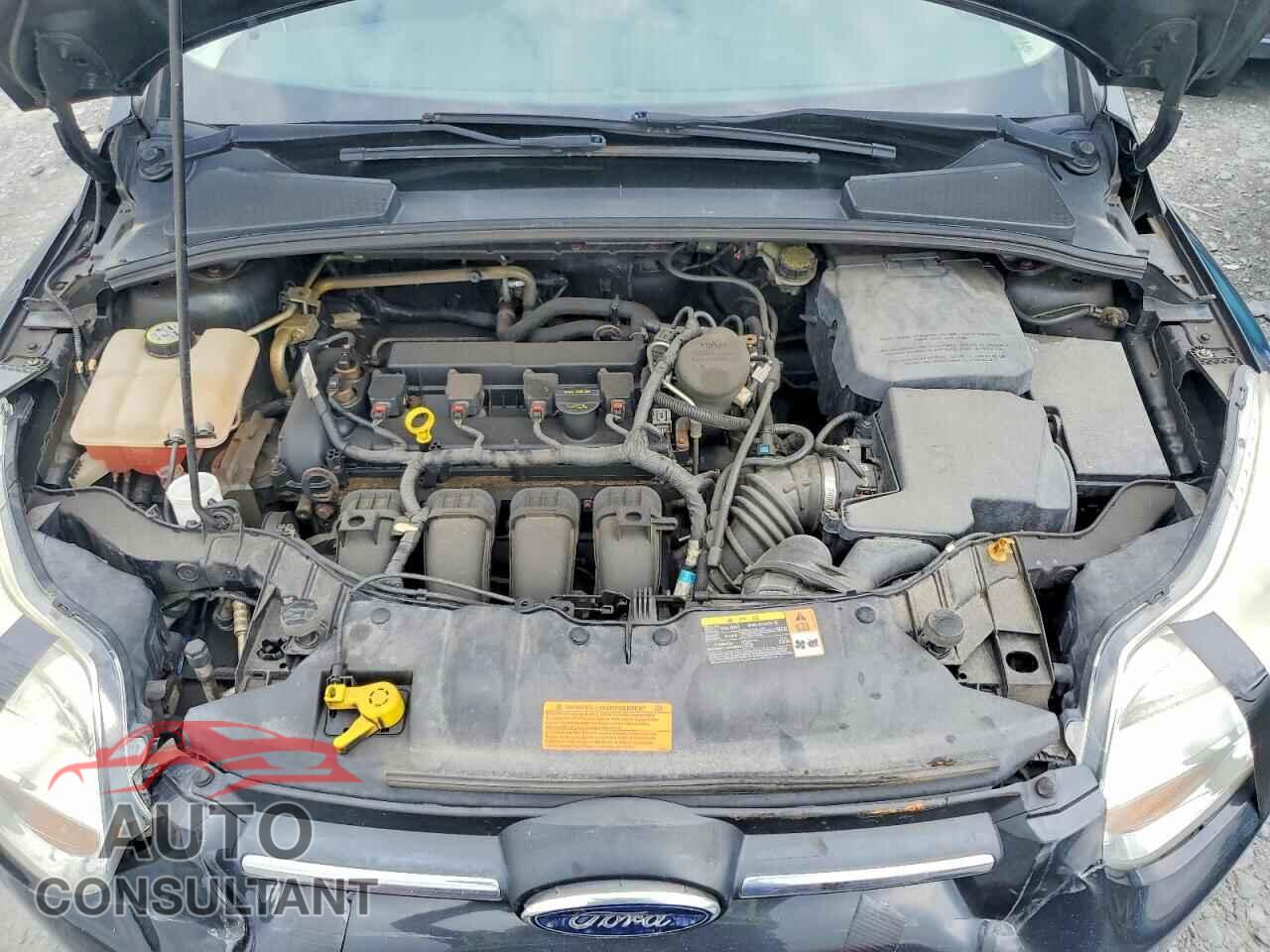 FORD FOCUS 2013 - 1FADP3K21DL356710