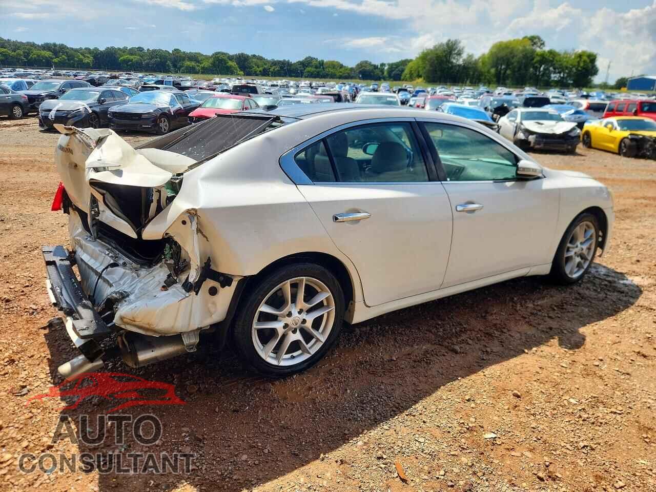 NISSAN MAXIMA 2011 - 1N4AA5AP7BC854663