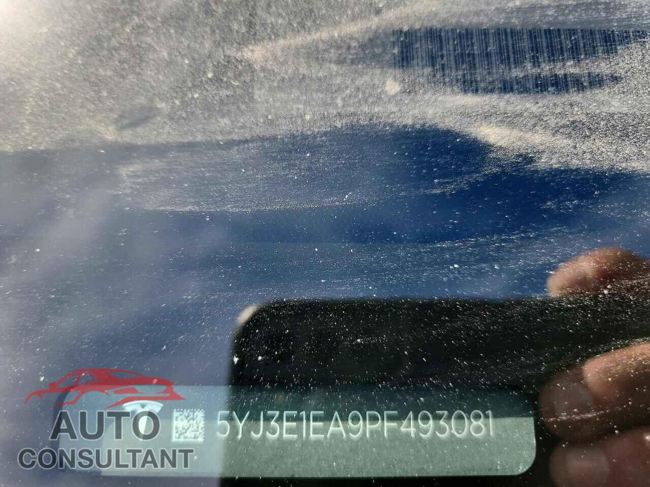 TESLA MODEL 3 2023 - 5YJ3E1EA9PF493081