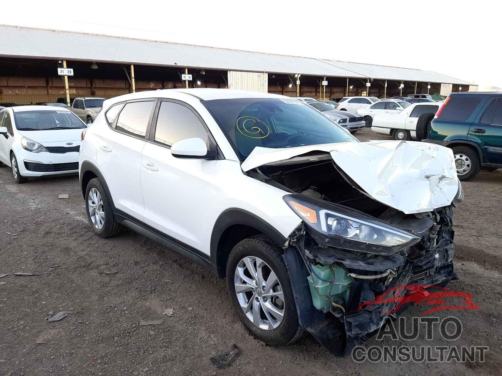 HYUNDAI TUCSON 2019 - KM8J23A46KU854256