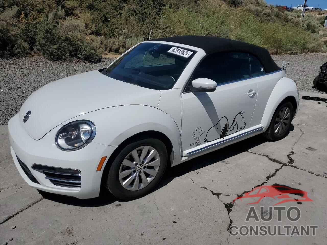 VOLKSWAGEN BEETLE 2018 - 3VW5DAAT1JM512550
