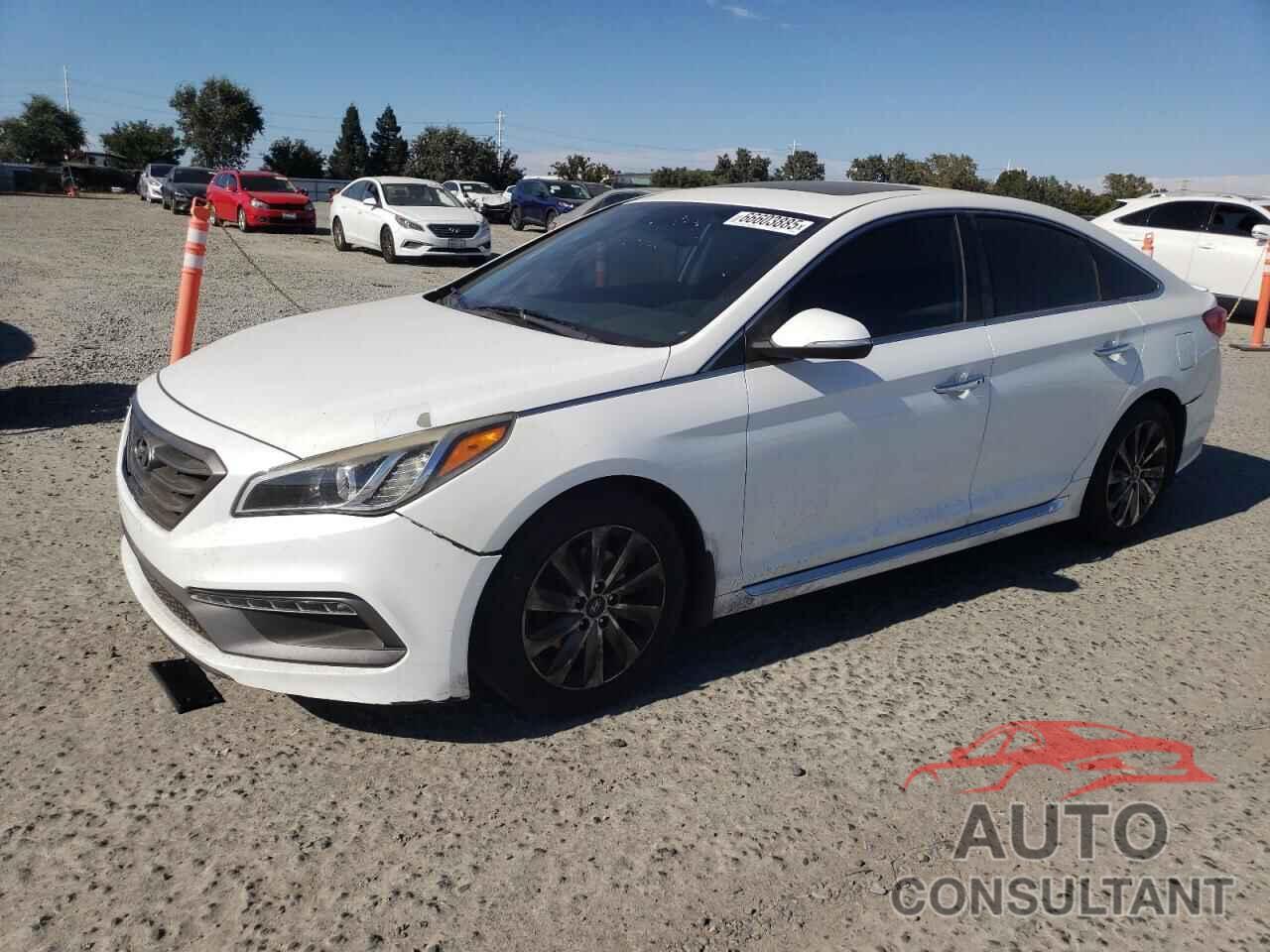 HYUNDAI SONATA 2016 - 5NPE34AF9GH375860