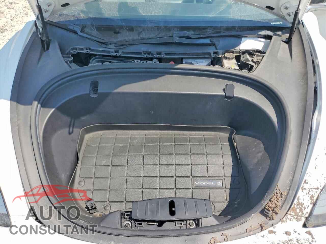 TESLA MODEL 3 2019 - 5YJ3E1EA4KF302420
