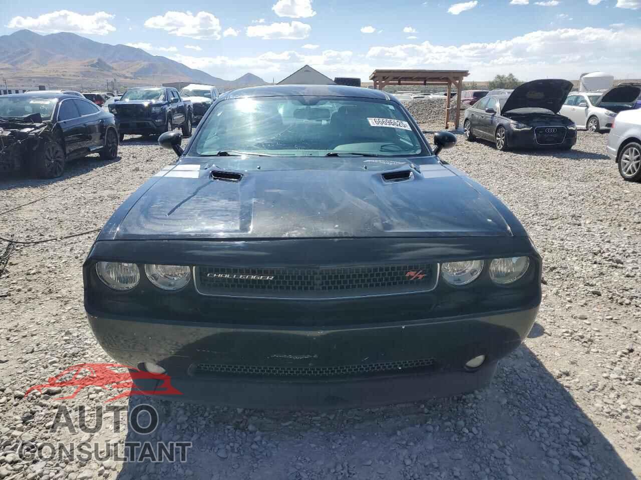 DODGE CHALLENGER 2013 - 2C3CDYBT2DH629336