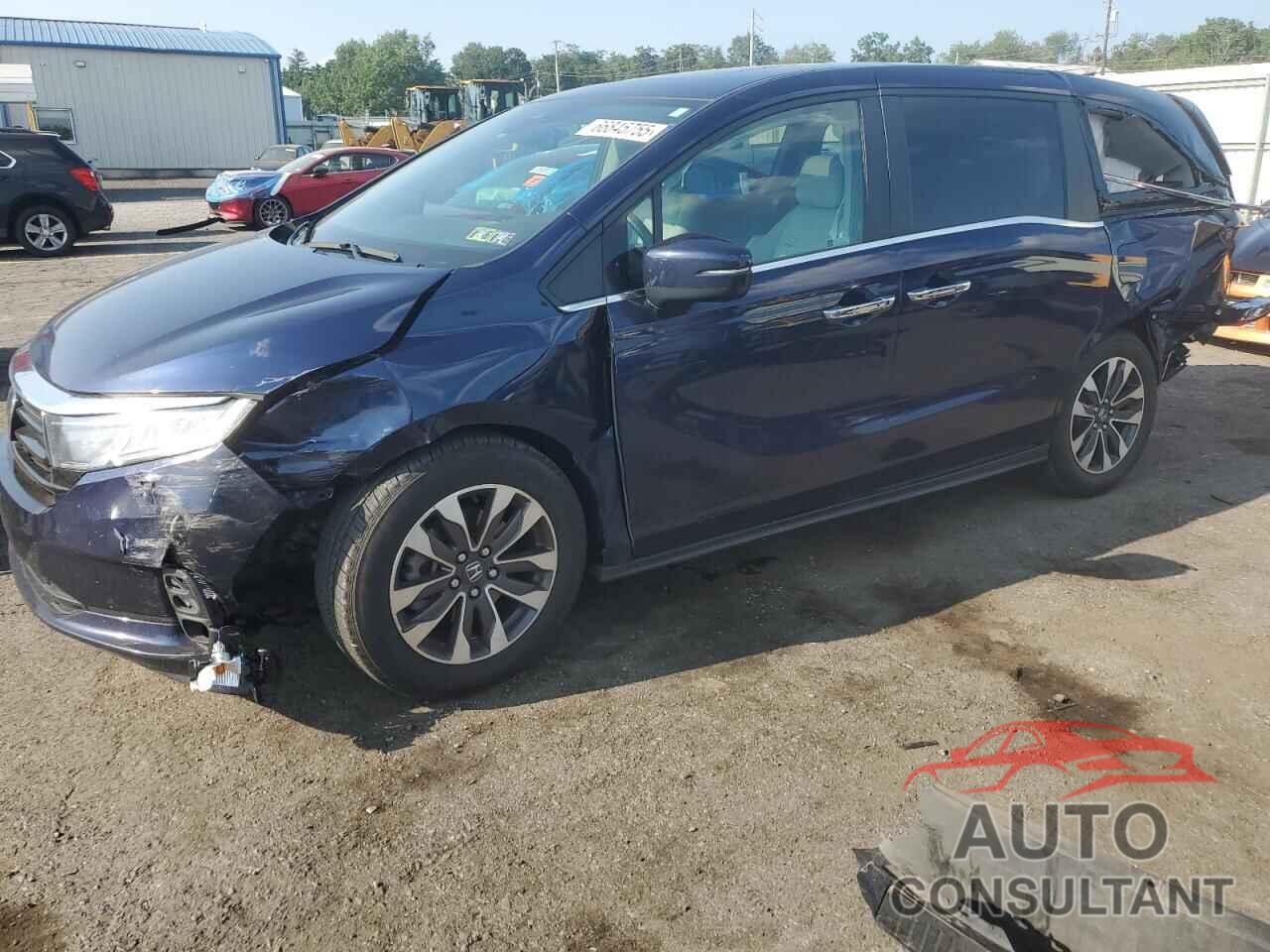 HONDA All Models 2022 - 5FNRL6H76NB036853