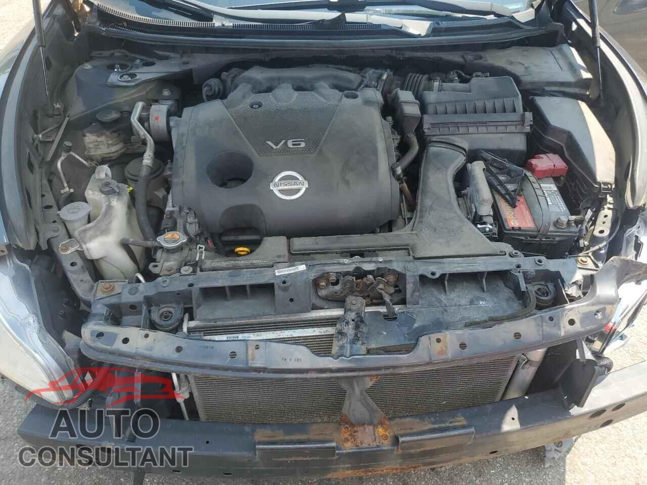 NISSAN MAXIMA 2010 - 1N4AA5AP1AC852518
