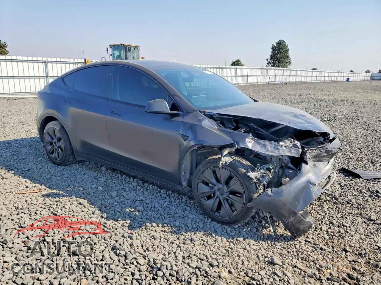 TESLA MODEL Y 2024 - 7SAYGDEE2RF116893