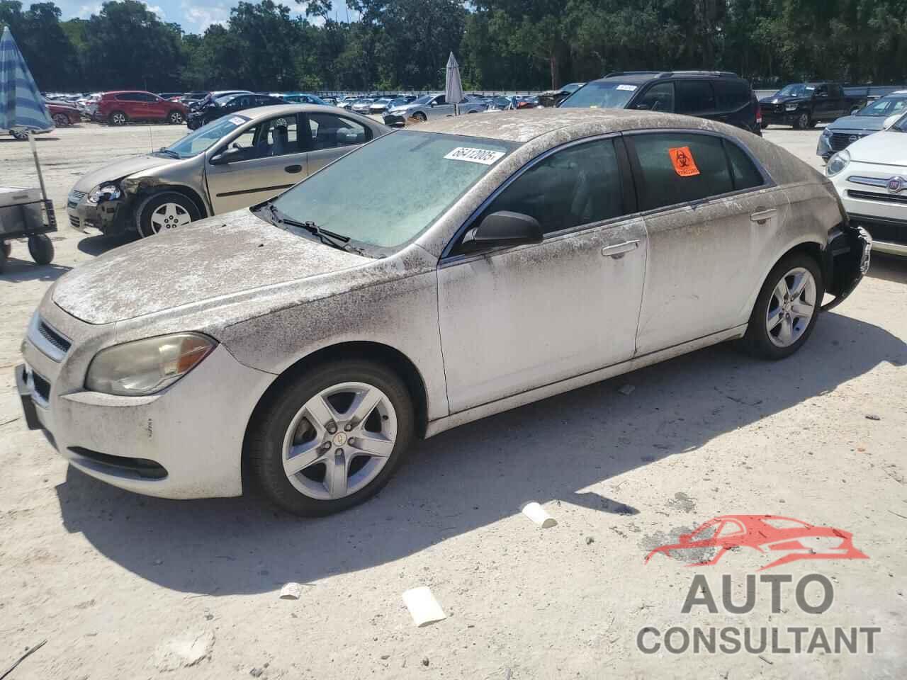 CHEVROLET MALIBU 2010 - 1G1ZB5EB8AF317587