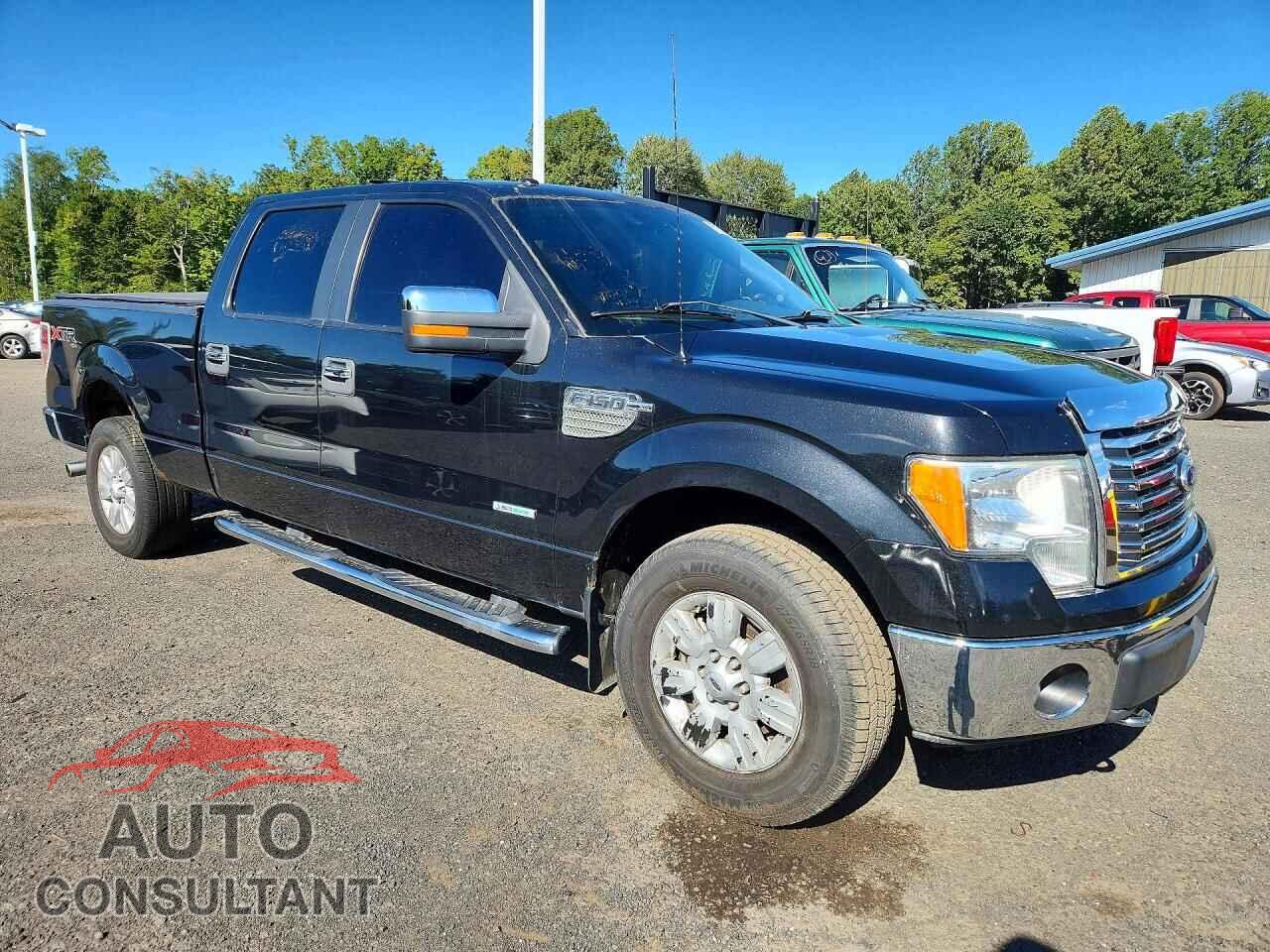 FORD F150 2012 - 1FTFW1ET5CFA06895
