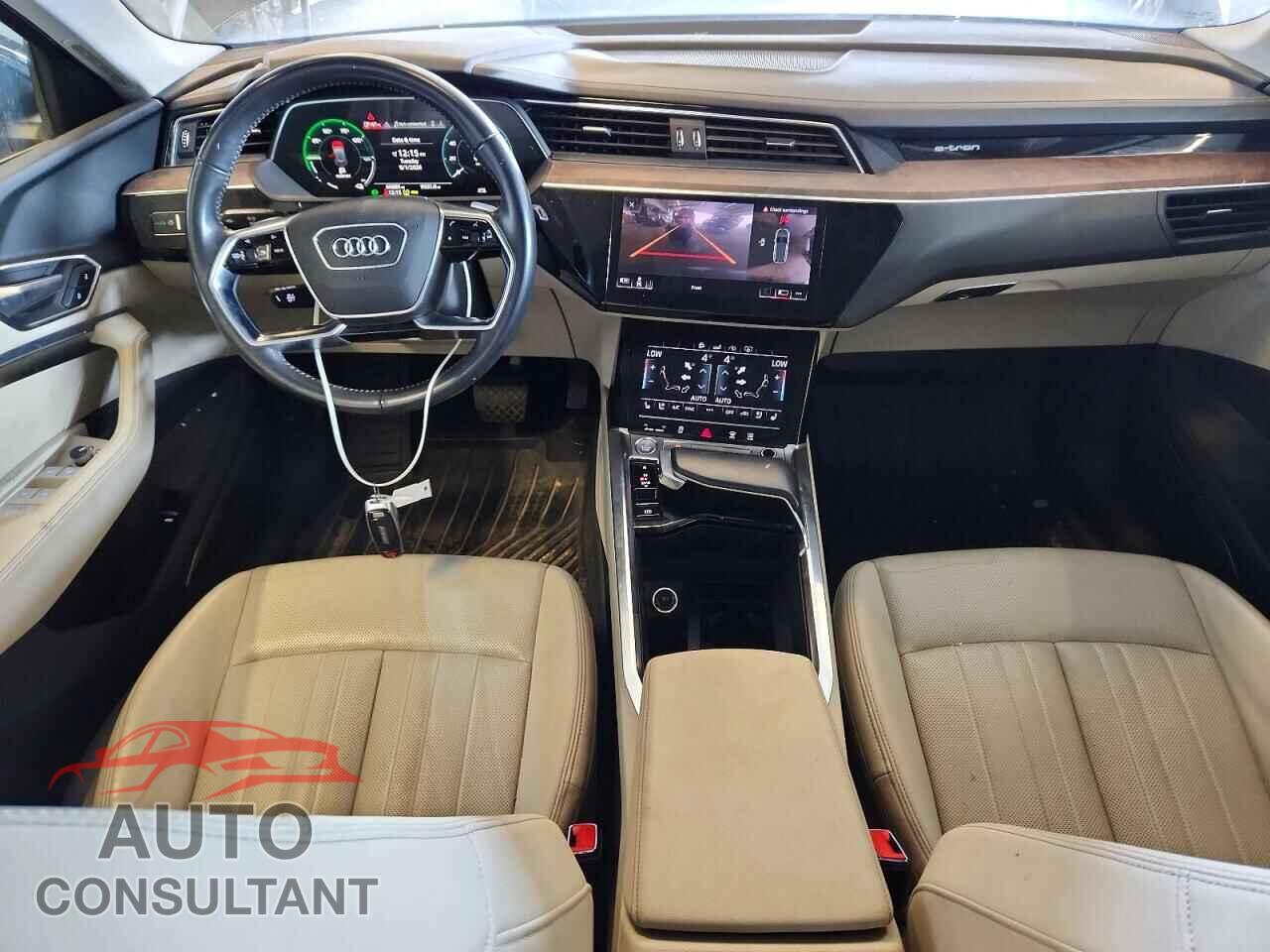 AUDI E-TRON 2019 - WA1LABGEXKB011533