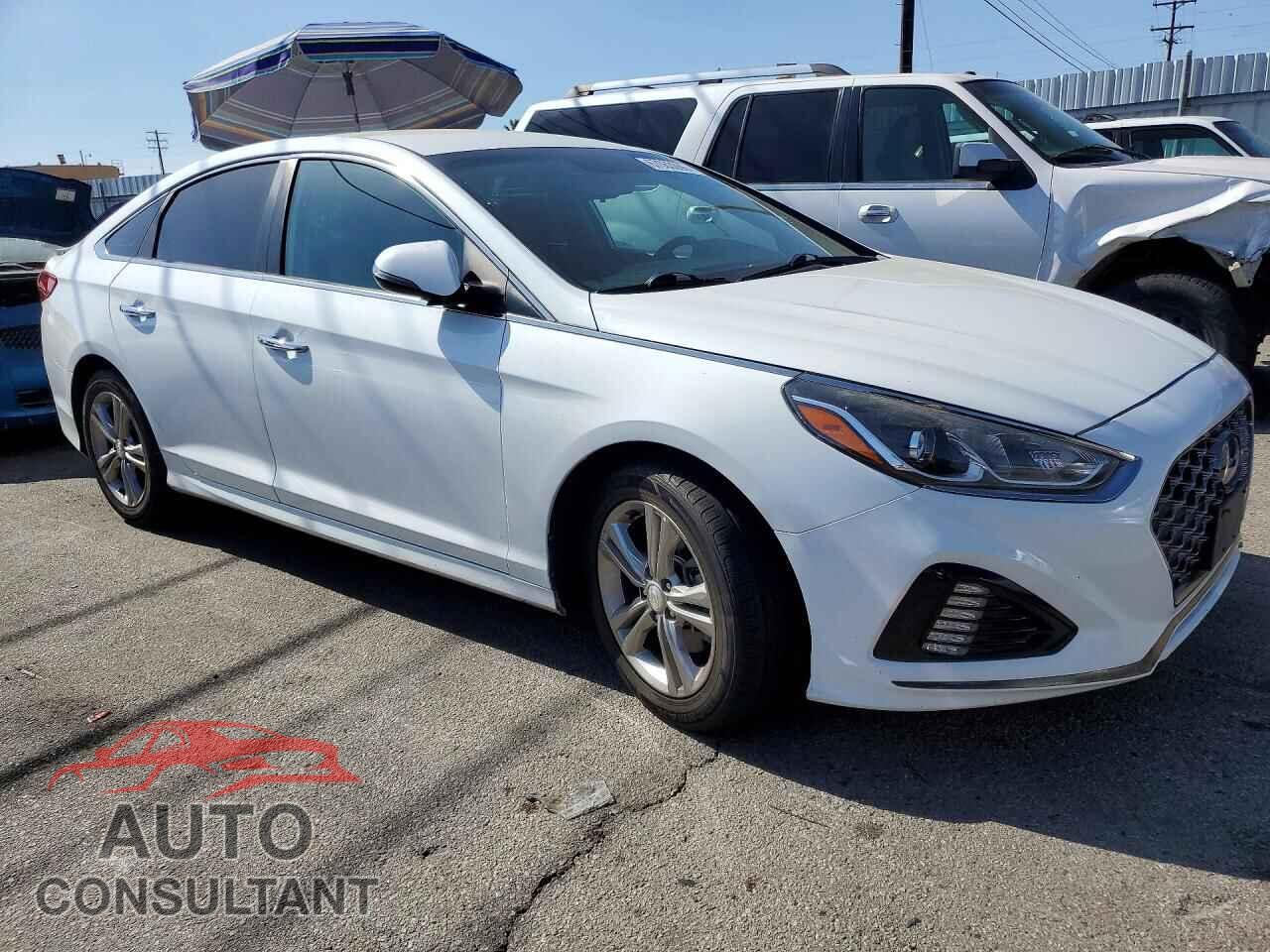 HYUNDAI SONATA 2019 - 5NPE34AF9KH771361