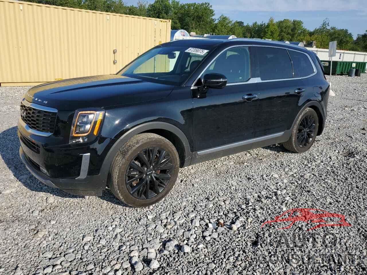 KIA TELLURIDE 2022 - 5XYP5DHCXNG195855