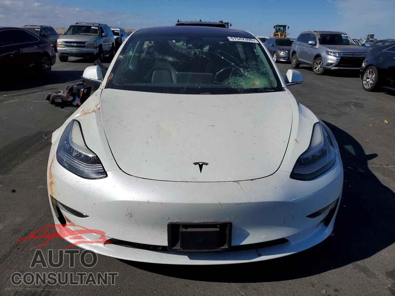 TESLA MODEL 3 2019 - 5YJ3E1EB8KF187569