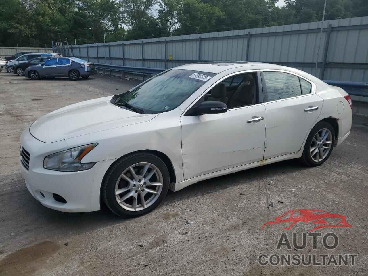 NISSAN MAXIMA 2009 - 1N4AA51E09C861656
