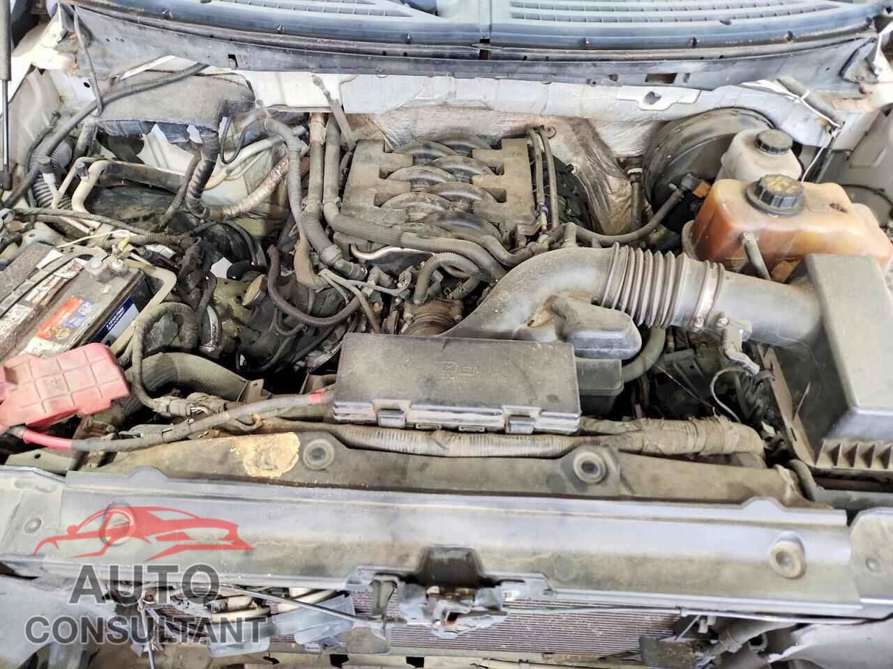 FORD F150 2011 - 1FTFX1CF1BFB25066