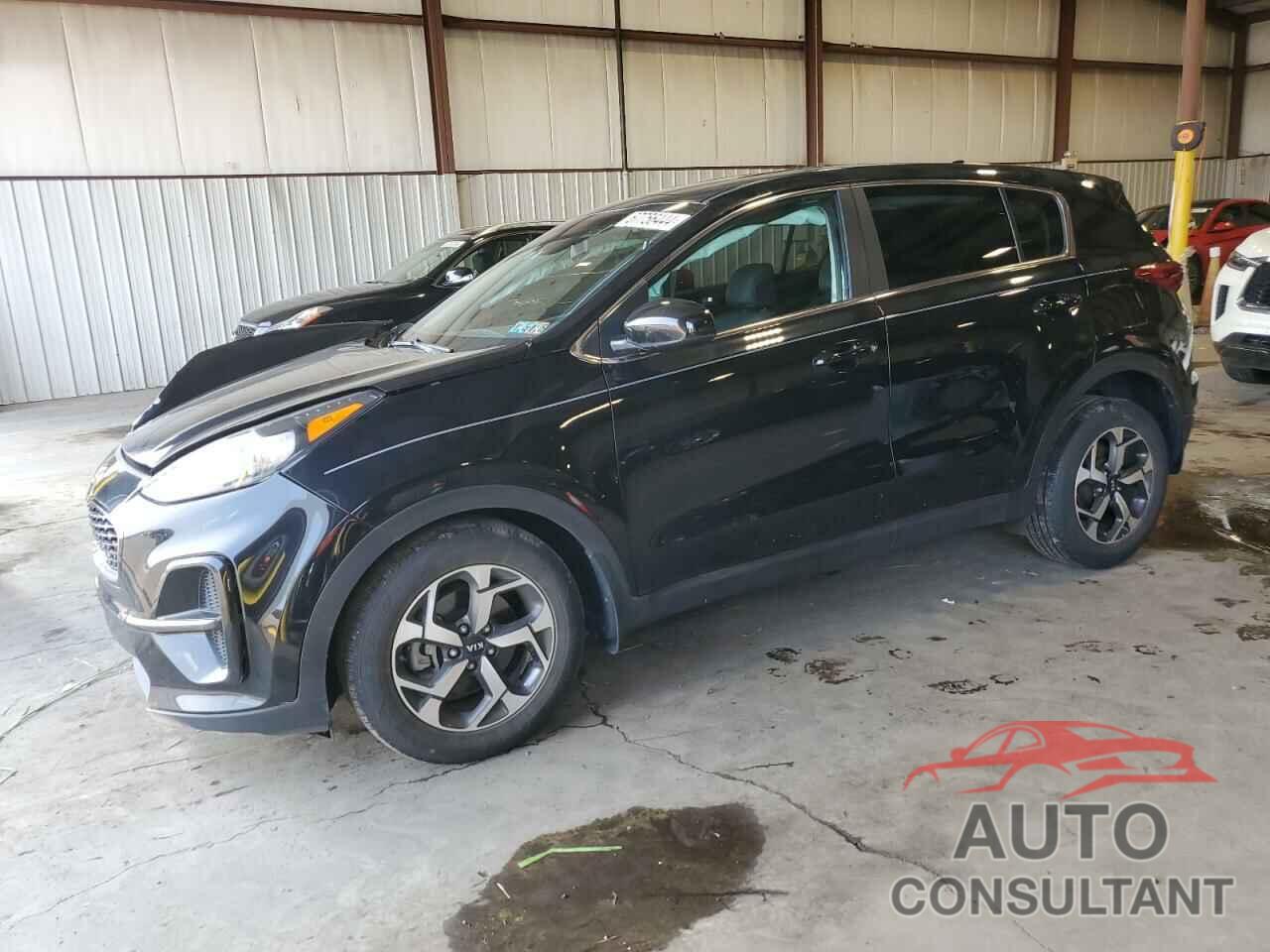 KIA SPORTAGE 2020 - KNDPM3AC2L7695445