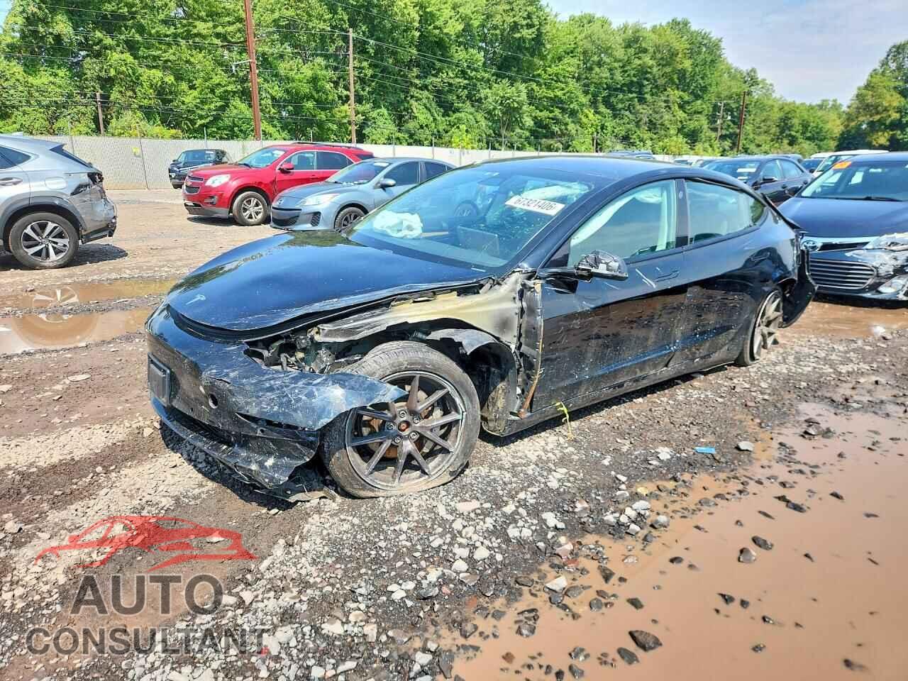 TESLA MODEL 3 2021 - 5YJ3E1EBXMF974834
