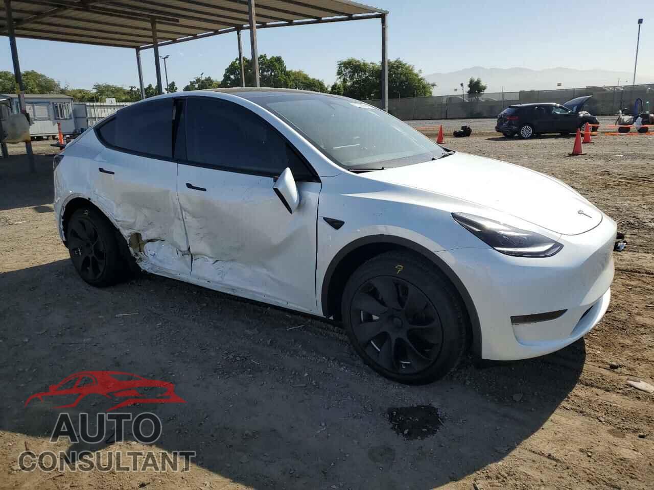 TESLA MODEL Y 2024 - 7SAYGDED7RF097569