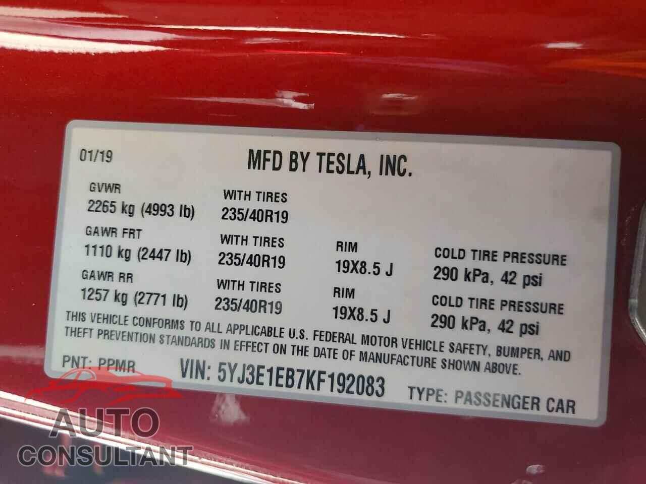 TESLA MODEL 3 2019 - 5YJ3E1EB7KF192083