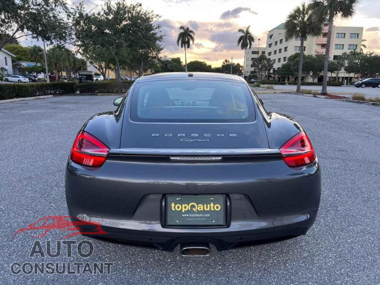 PORSCHE CAYMAN 2015 - WP0AA2A87FK161539