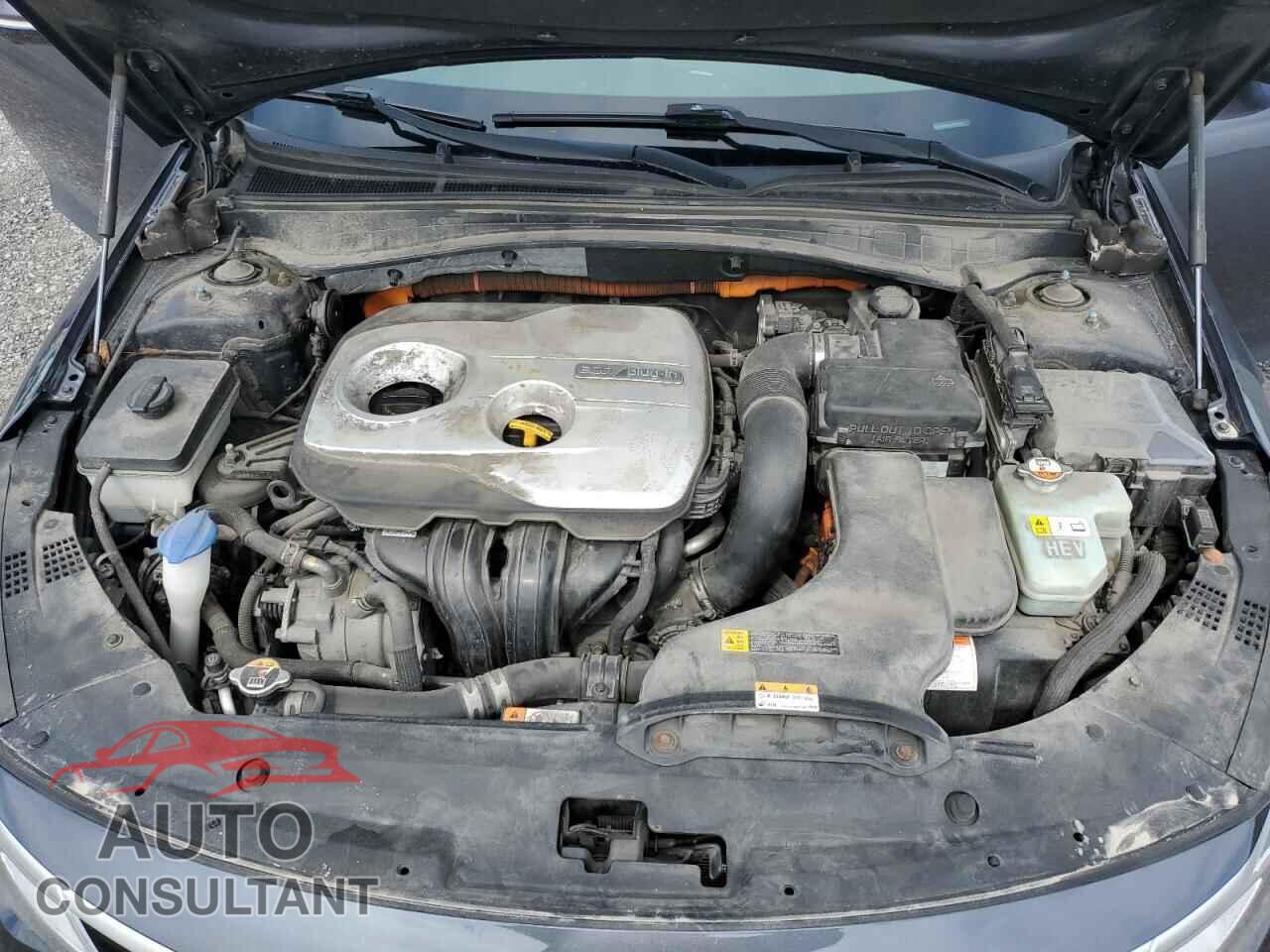KIA OPTIMA 2017 - KNAGV4LDXH5017891
