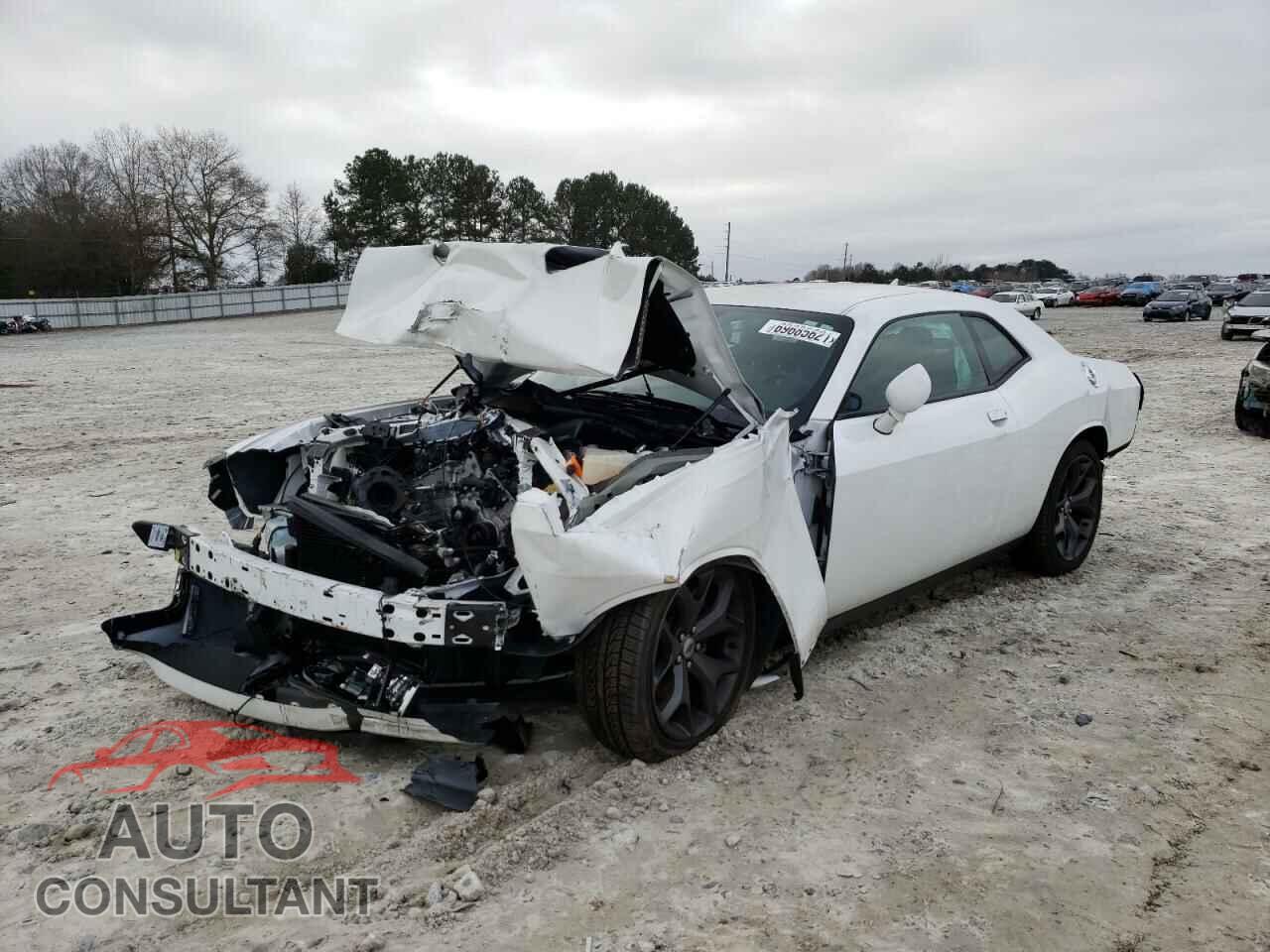 DODGE CHALLENGER 2019 - 2C3CDZAG6KH659737