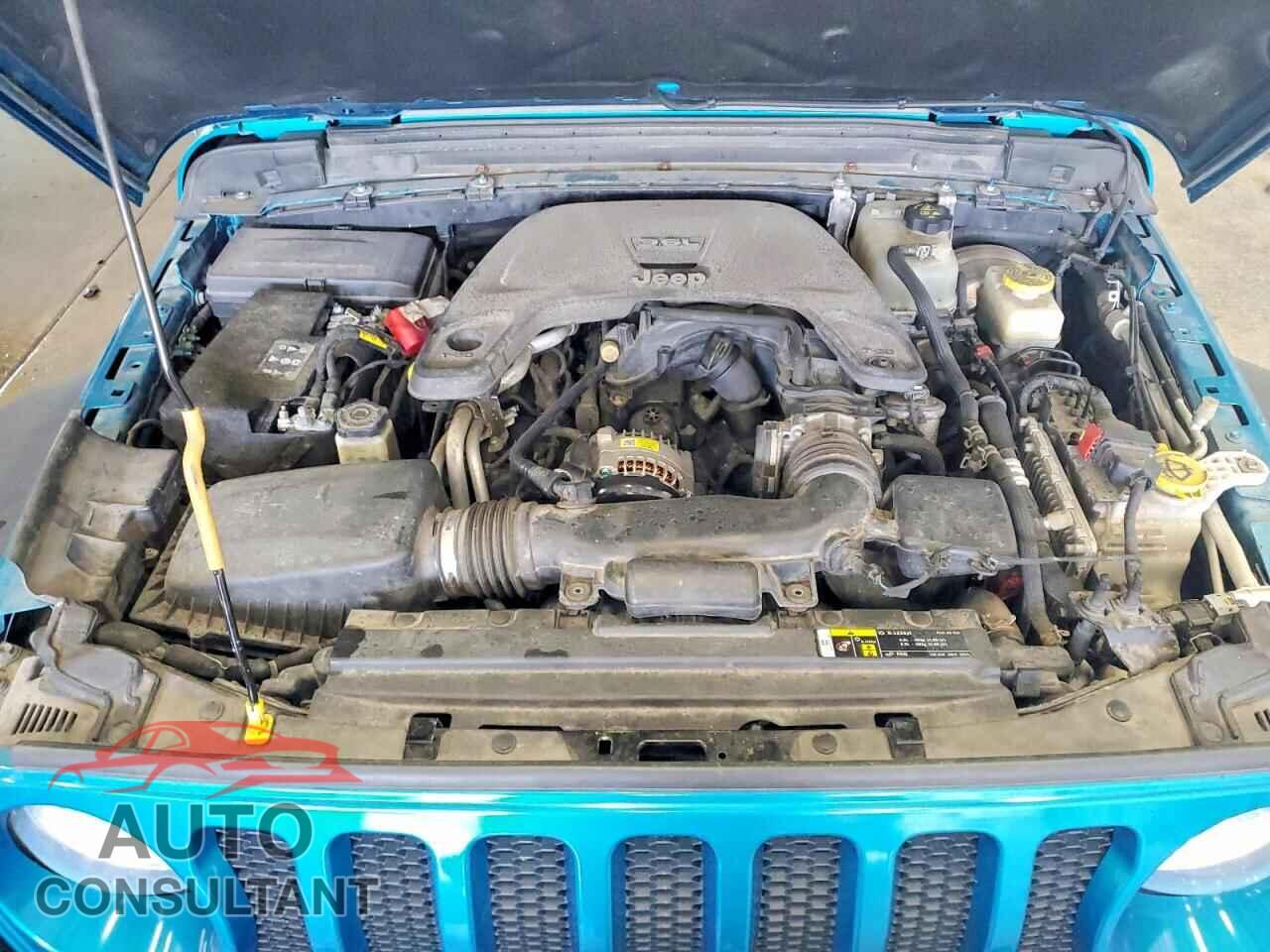 JEEP WRANGLER 2019 - 1C4HJXDG9KW615744