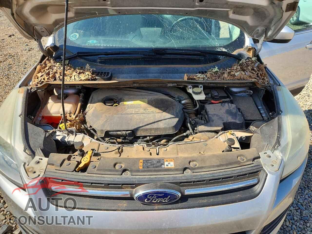 FORD ESCAPE 2014 - 1FMCU0GX8EUC29817