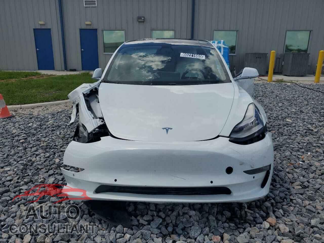 TESLA MODEL 3 2020 - 5YJ3E1EB5LF606916