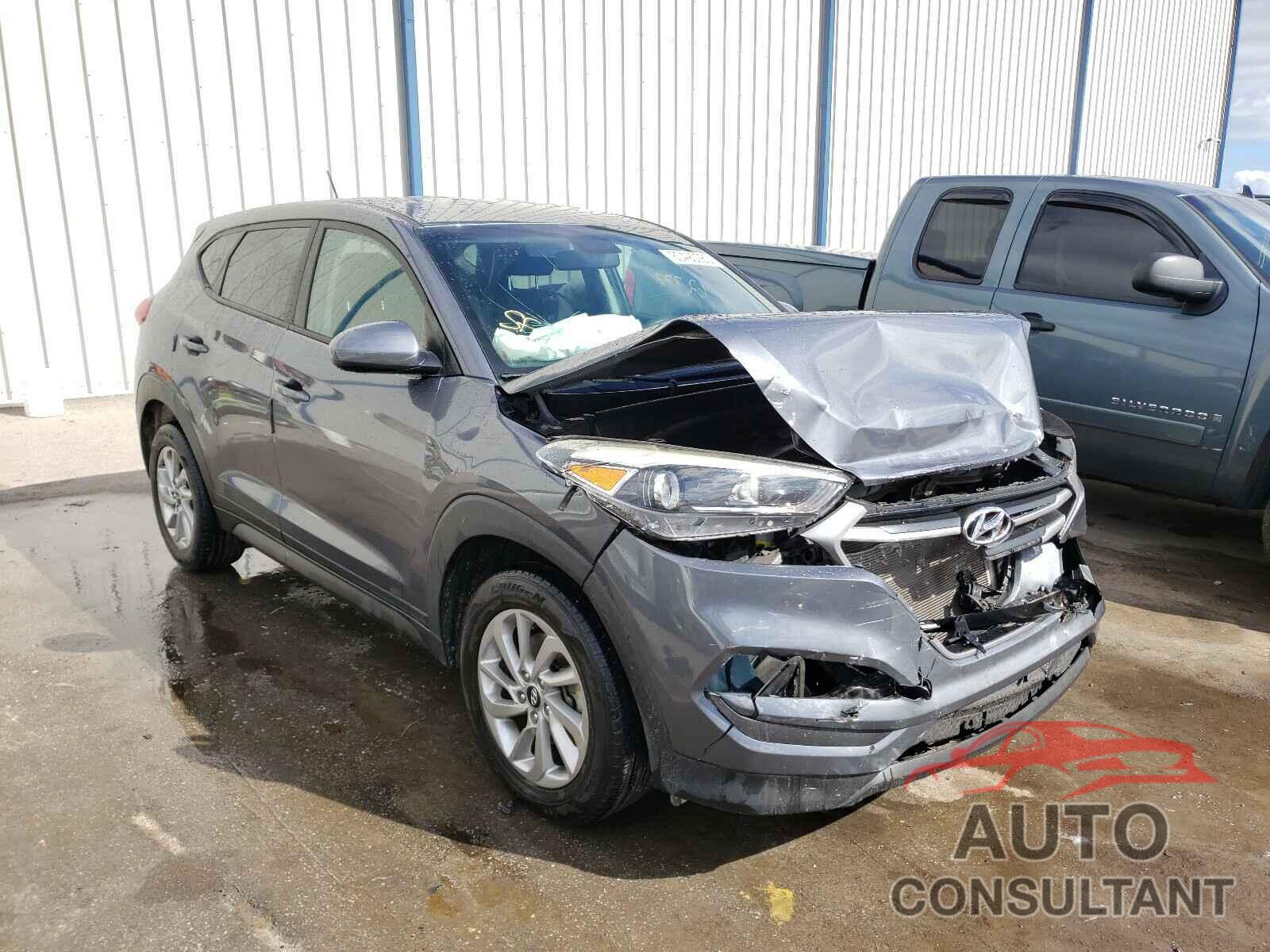 HYUNDAI TUCSON 2017 - KM8J23A43HU249166