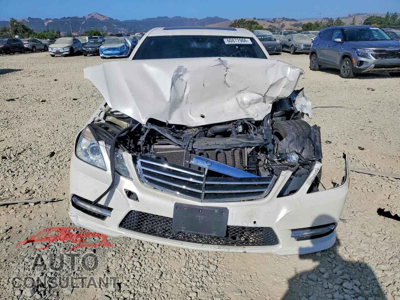 MERCEDES-BENZ E-CLASS 2012 - WDDHF5KB7CA594314