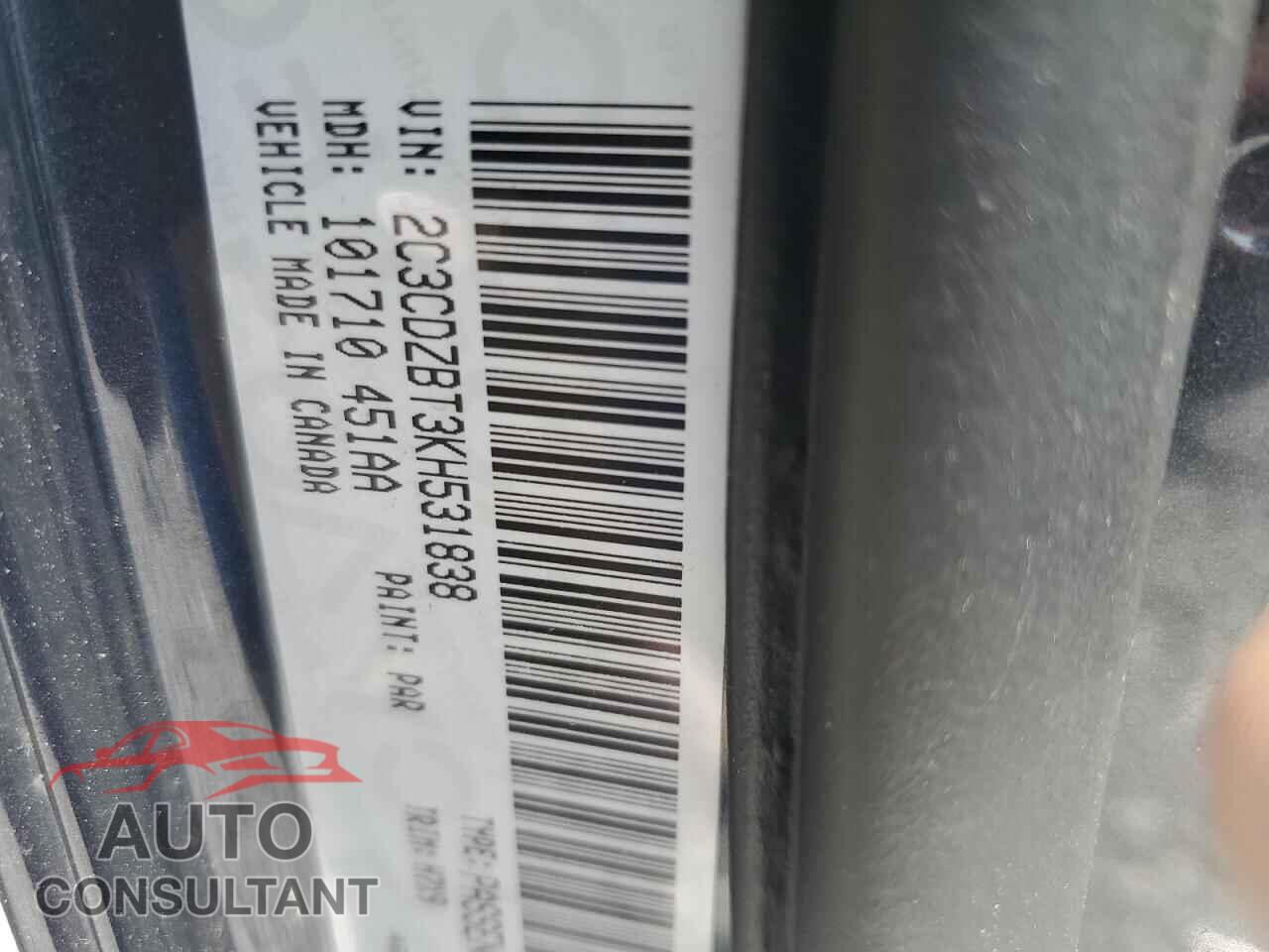 DODGE CHALLENGER 2019 - 2C3CDZBT3KH531838