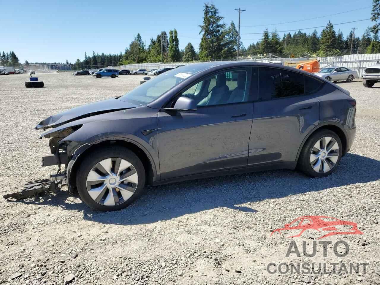 TESLA MODEL Y 2021 - 5YJYGDEE2MF208091