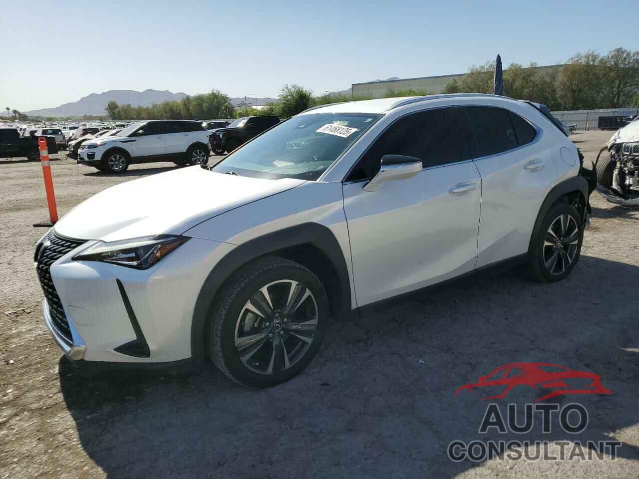LEXUS UX 200 2020 - JTHX3JBH4L2029393