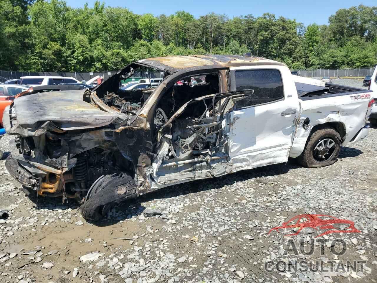 TOYOTA TUNDRA 2020 - 5TFDY5F12LX944935