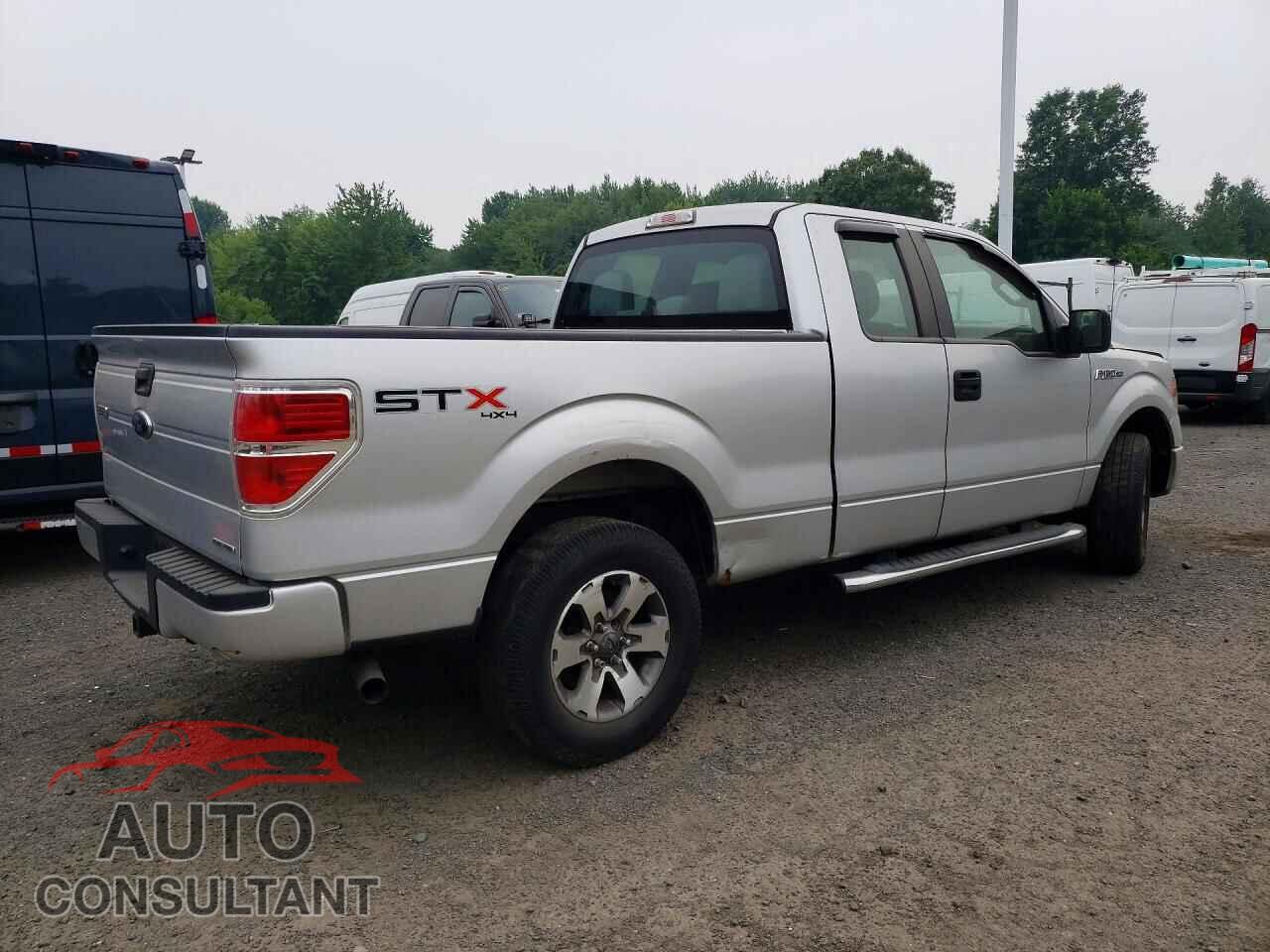 FORD F150 2013 - 1FTFX1EF1DFD61054
