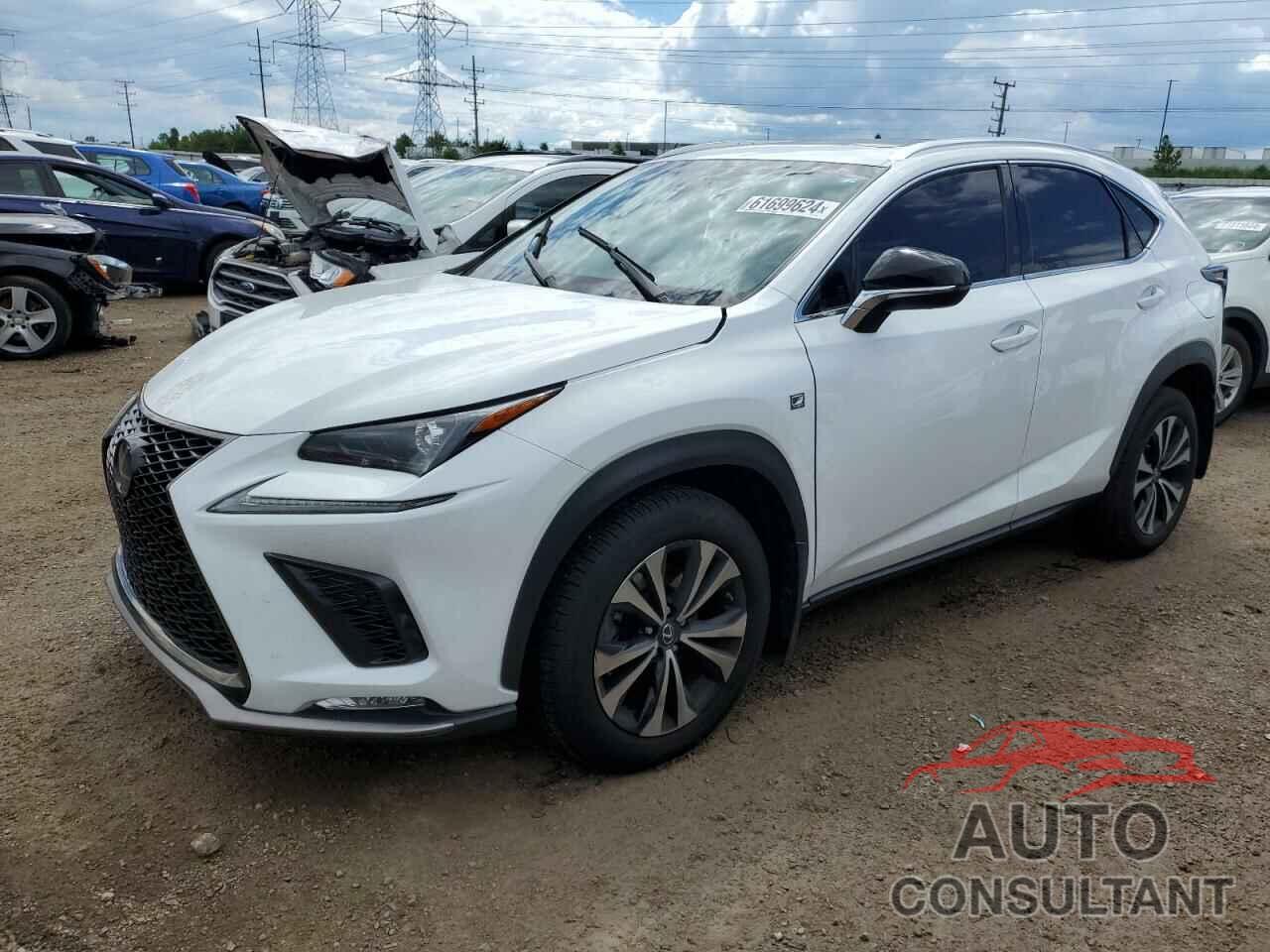 LEXUS NX 2019 - JTJBARBZ7K2180085