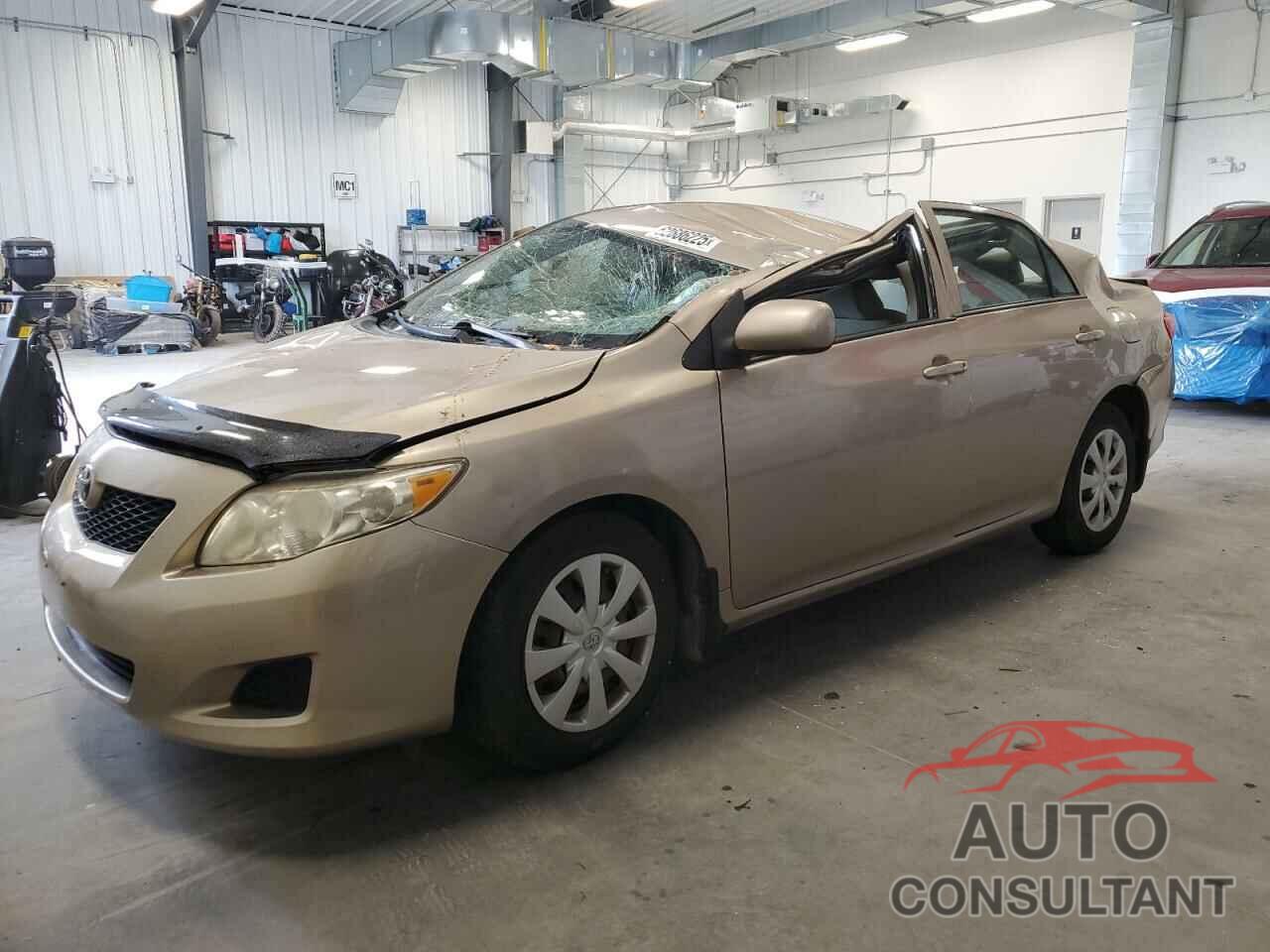 TOYOTA COROLLA 2010 - 2T1BU4EE8AC342716