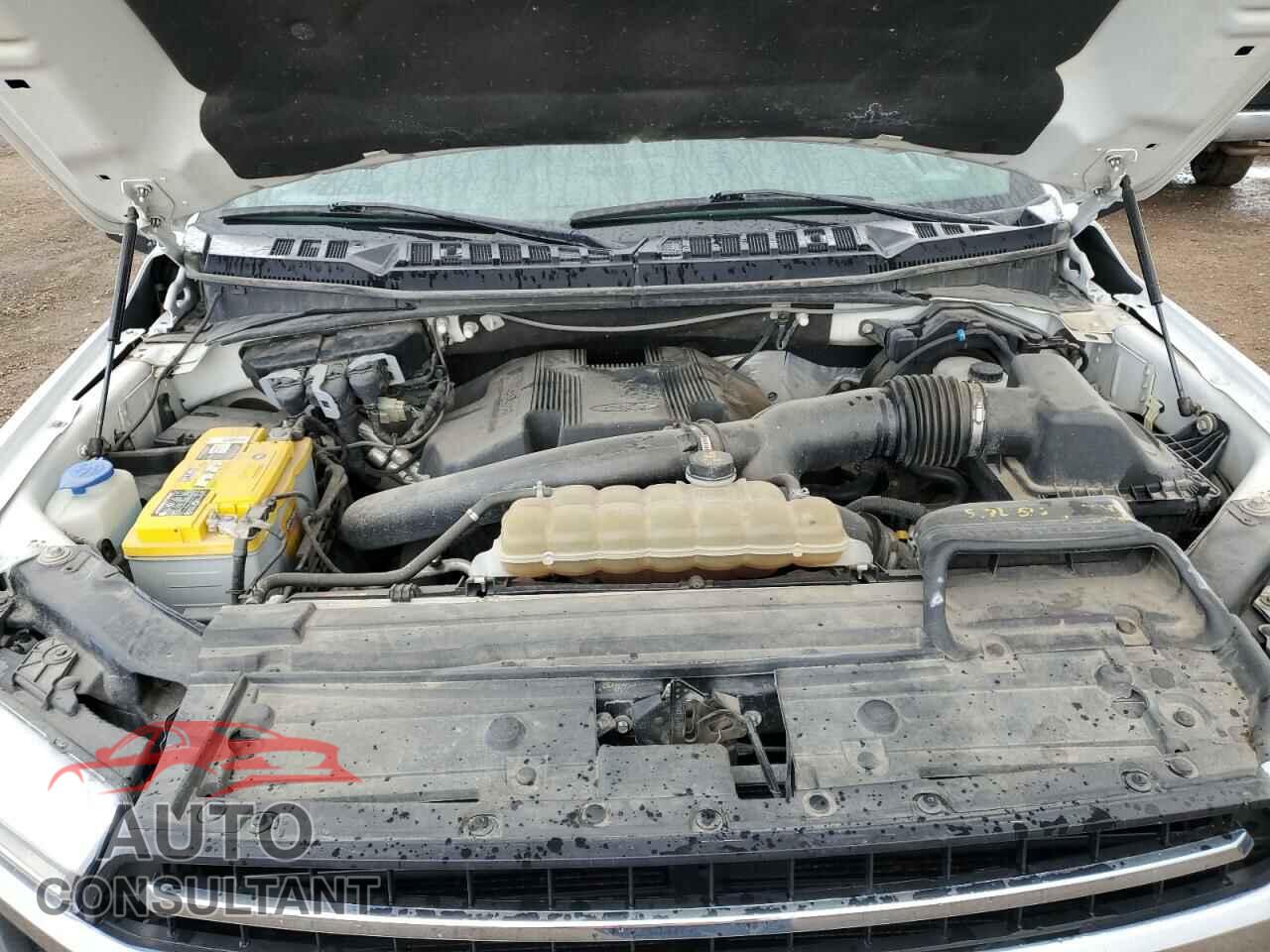 FORD F-150 2020 - 1FTFX1E42LKF06624