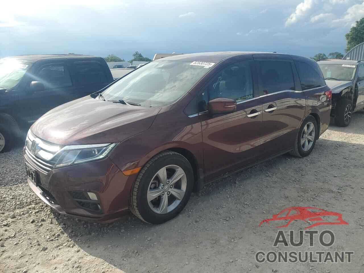 HONDA All Models 2019 - 5FNRL6H76KB116441