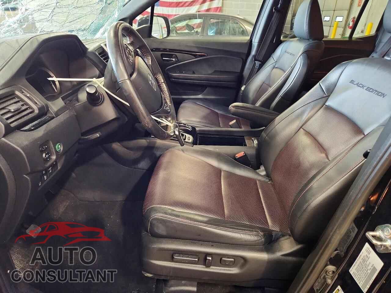 HONDA RIDGELINE 2019 - 5FPYK3F80KB022264
