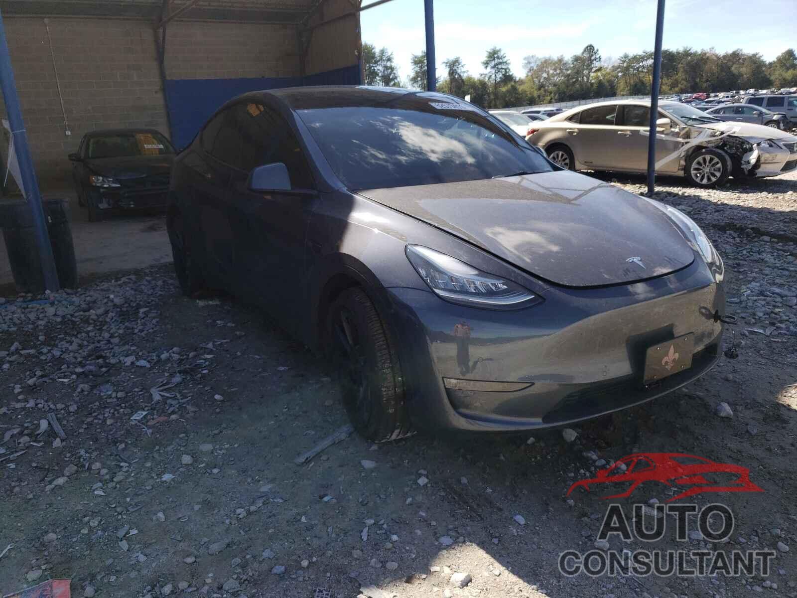 TESLA MODEL Y 2021 - 5YJYGDEE7MF108584