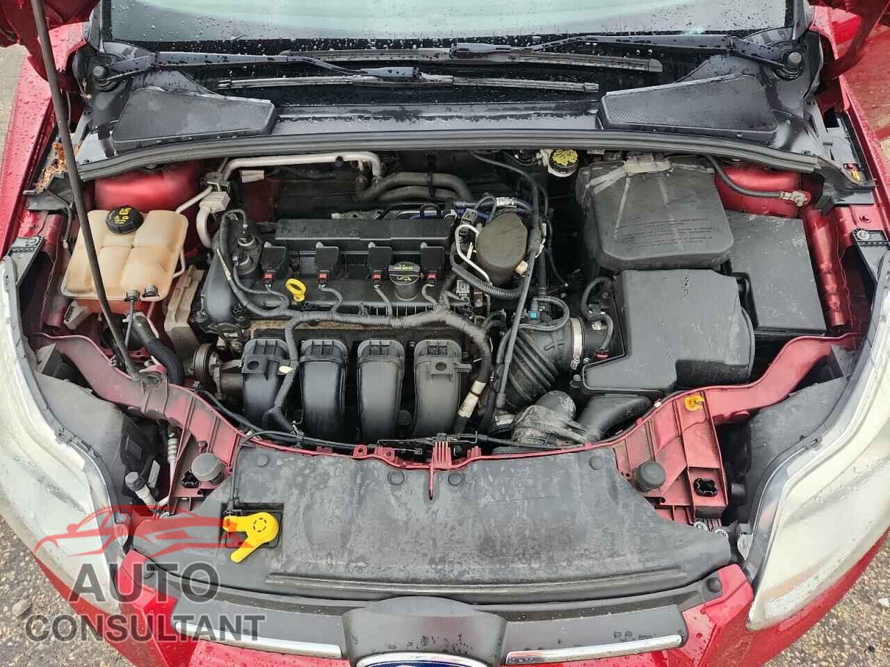 FORD FOCUS 2014 - 1FADP3F23EL381992