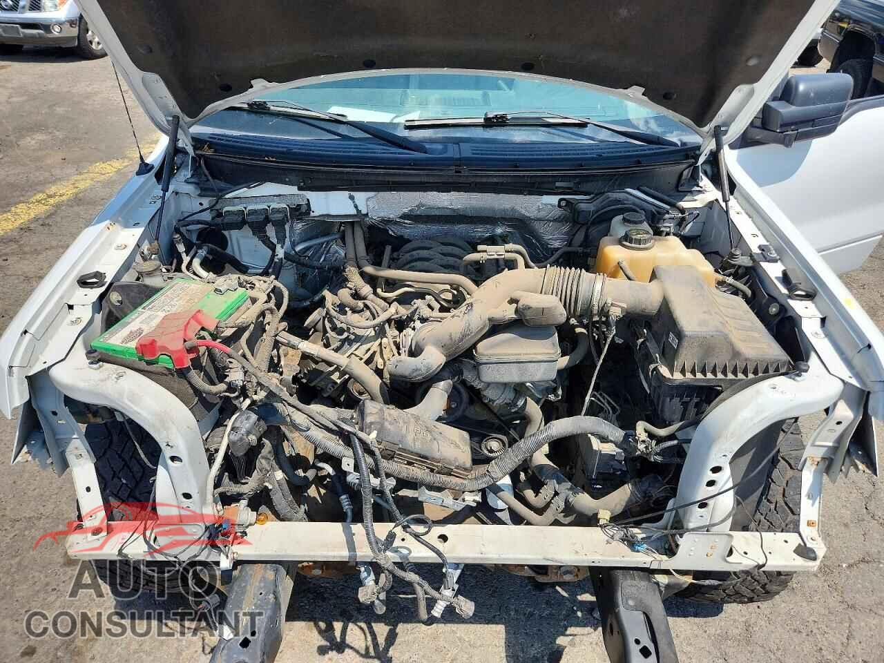 FORD All Models 2013 - 1FTMF1EF5DFA85004