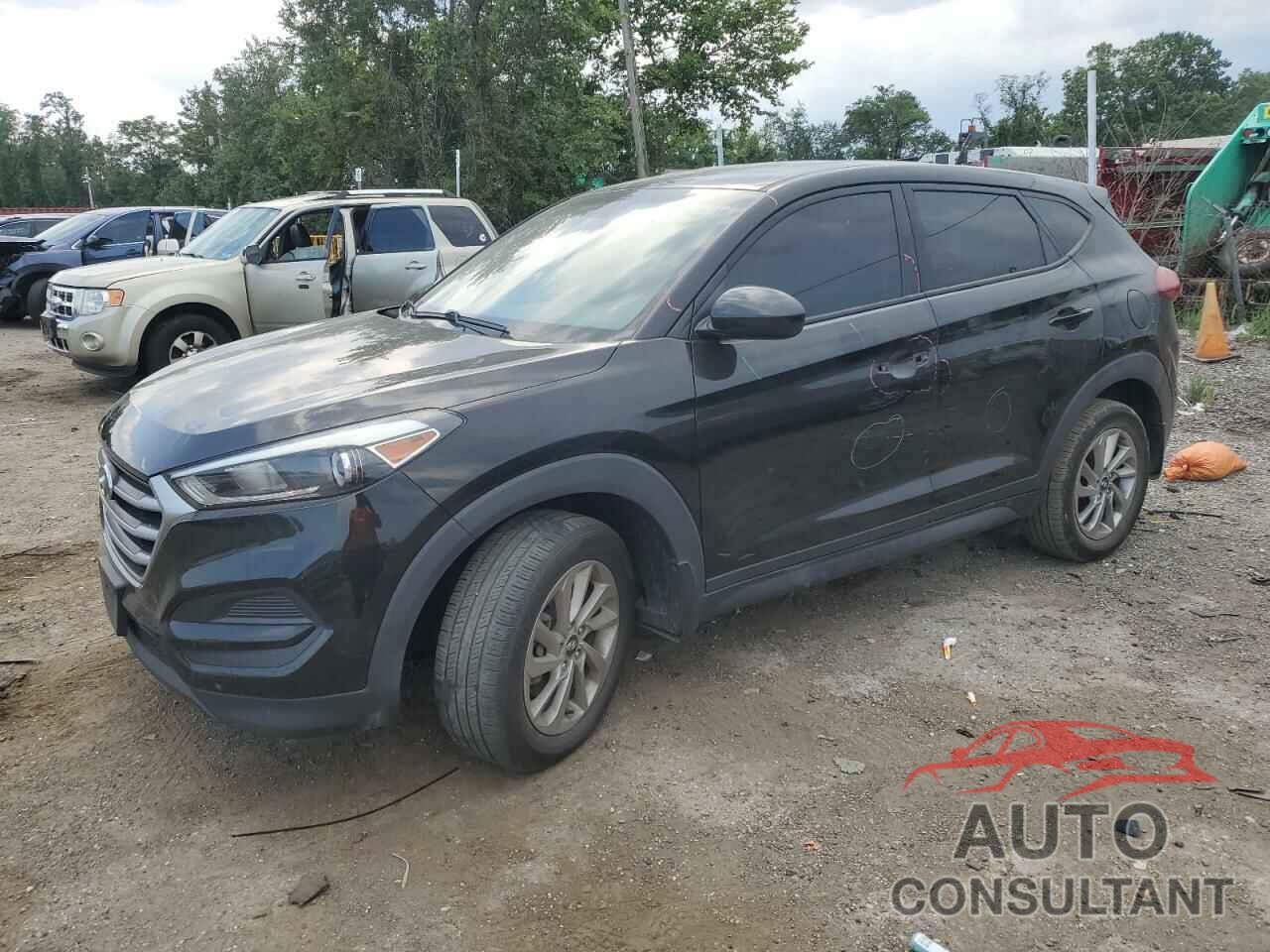 HYUNDAI TUCSON 2017 - KM8J23A42HU398636