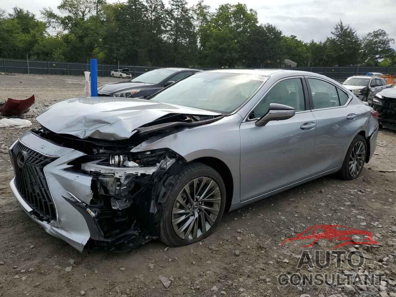 LEXUS ES300 2024 - 58AEA1C18RU047607