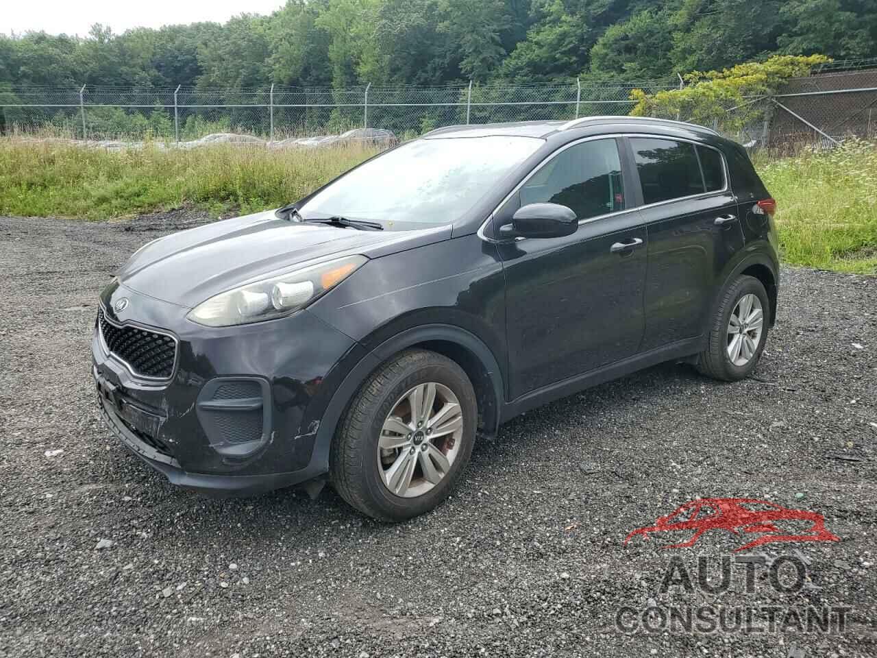 KIA SPORTAGE 2017 - KNDPM3ACXH7157115