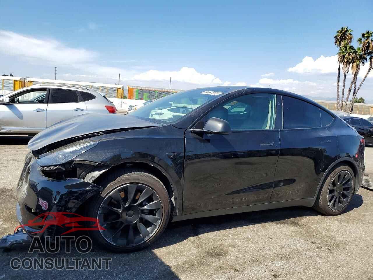 TESLA MODEL Y 2024 - 7SAYGDED3RF057666